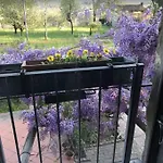 Country House Caravate